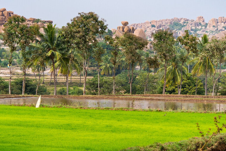 India 2014 - Hampi 089.jpg